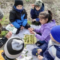 Vítáme jaro: Výukový program v Klíčku a vynášení Morany
