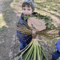 Vítáme jaro: Výukový program v Klíčku a vynášení Morany