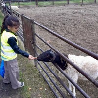 Učení o zvířátkách v ZOO Radonice
