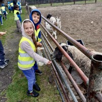 Učení o zvířátkách v ZOO Radonice