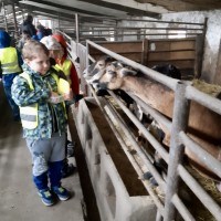 Učení o zvířátkách v ZOO Radonice