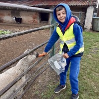 Učení o zvířátkách v ZOO Radonice