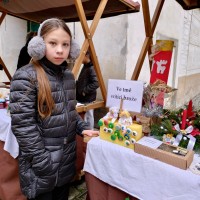 Naše děti zabodovaly: Vánoční trhy přinesly téměř 25 000 Kč pro útulky!