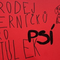 Naše děti zabodovaly: Vánoční trhy přinesly téměř 25 000 Kč pro útulky!