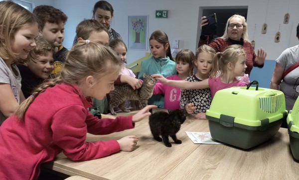 Pomáháme spolu: Vánoční trh přinesl radost i pomoc