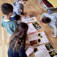 Čím vším včely léčí? Děti ze školní družiny to už vědí!