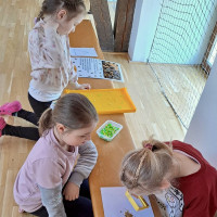 Čím vším včely léčí? Děti ze školní družiny to už vědí!