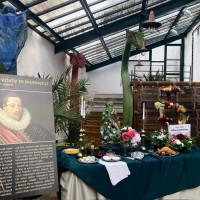 Rudolf II. znovu ožil – a my jsme byli u toho!